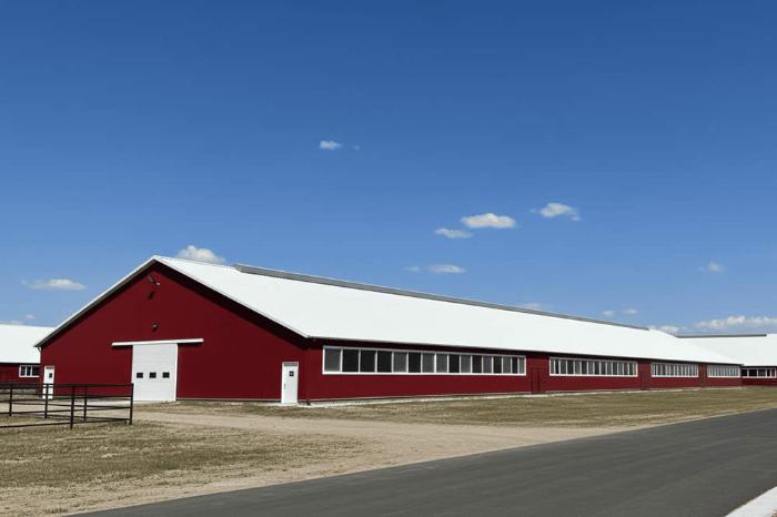 Самарская область, Животноводческий комплекс СПК Куйбышева